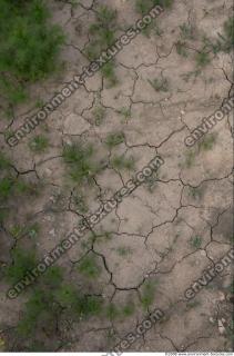 ground soil overgrown 0005